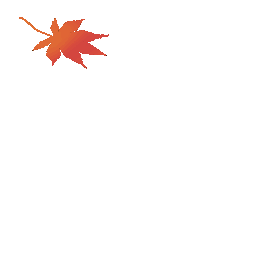ひらひら落ちる紅葉